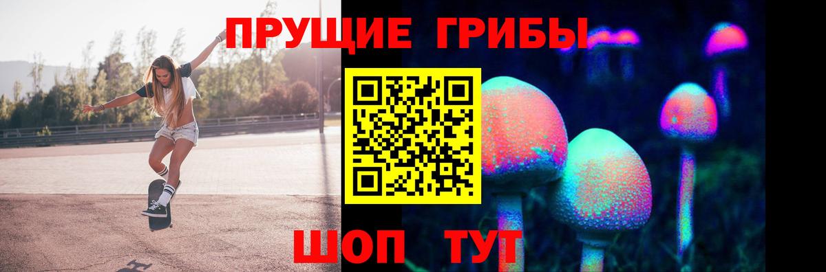 Альметьевск  Псилоцибиновые грибы мухоморы  Вход с VPN  Псилоцибиновые грибы мухоморы 